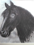 Black beauty